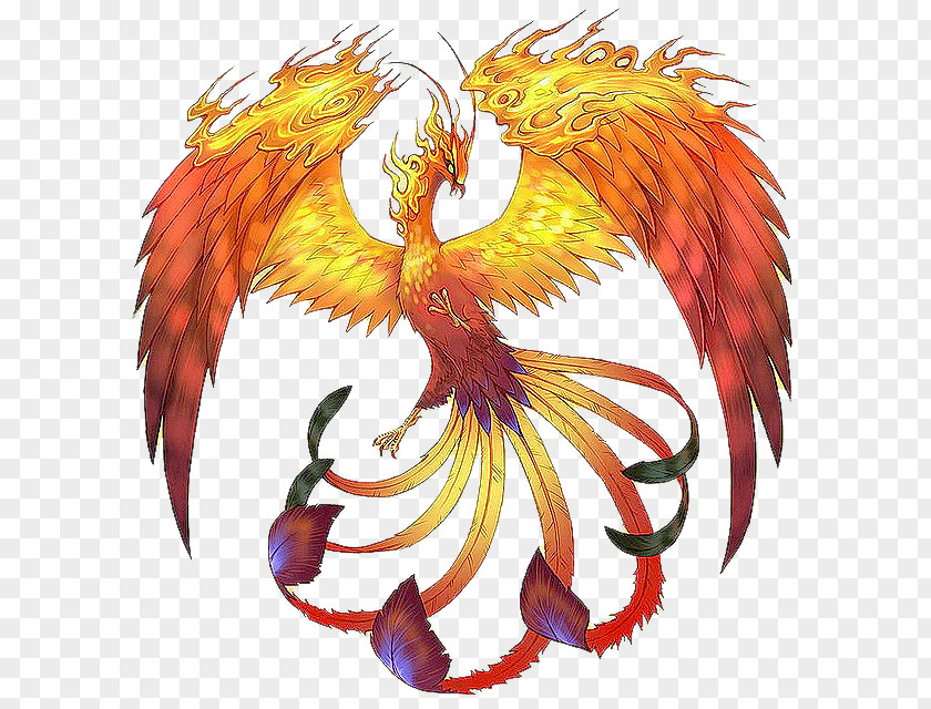 Phoenix Legendary Creature Mythology Folklore PNG
