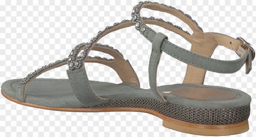 Sandal Shoe Footwear Leather PNG