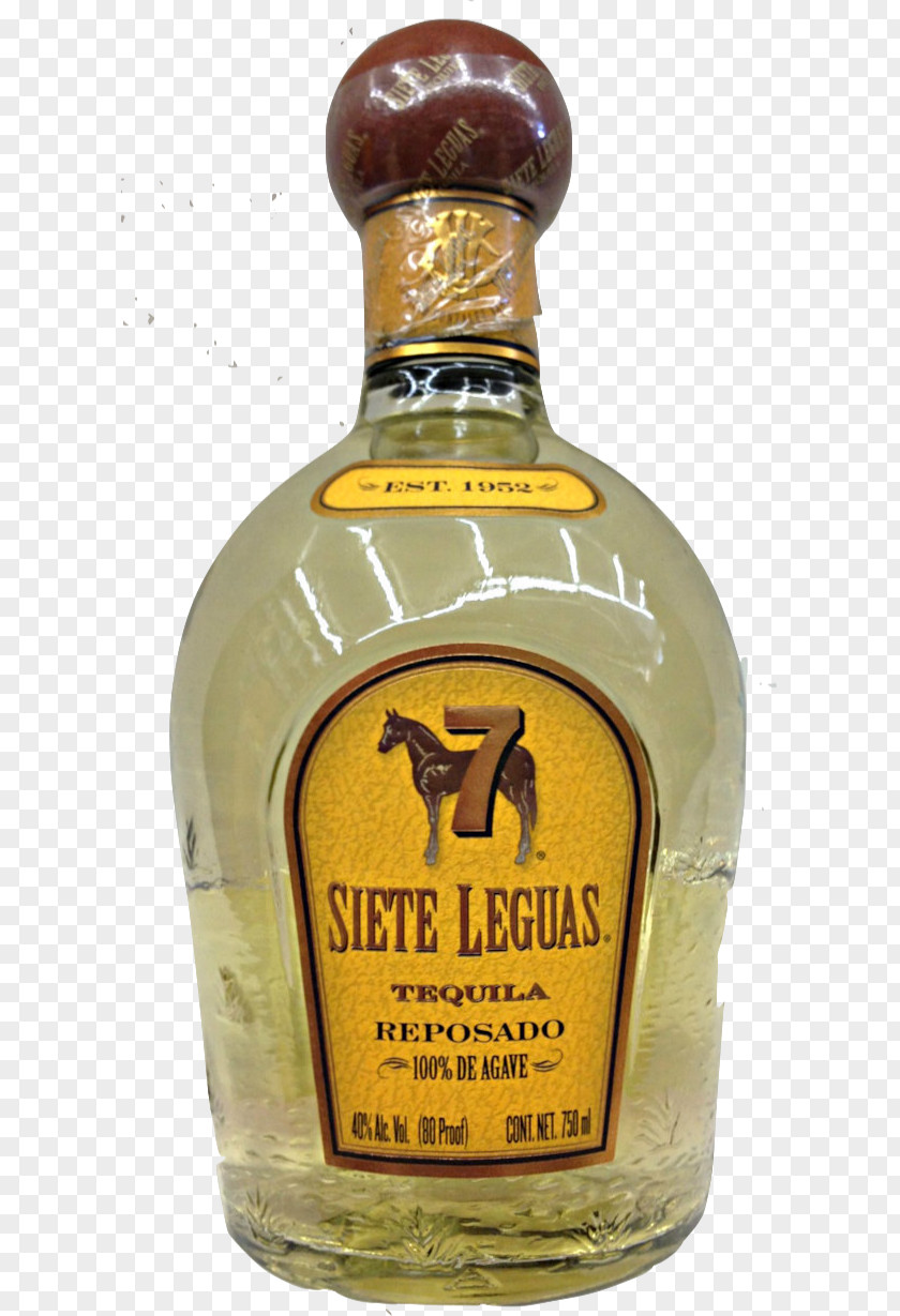 Tequila Shooter Liqueur Siete Leguas Whiskey Liquor PNG