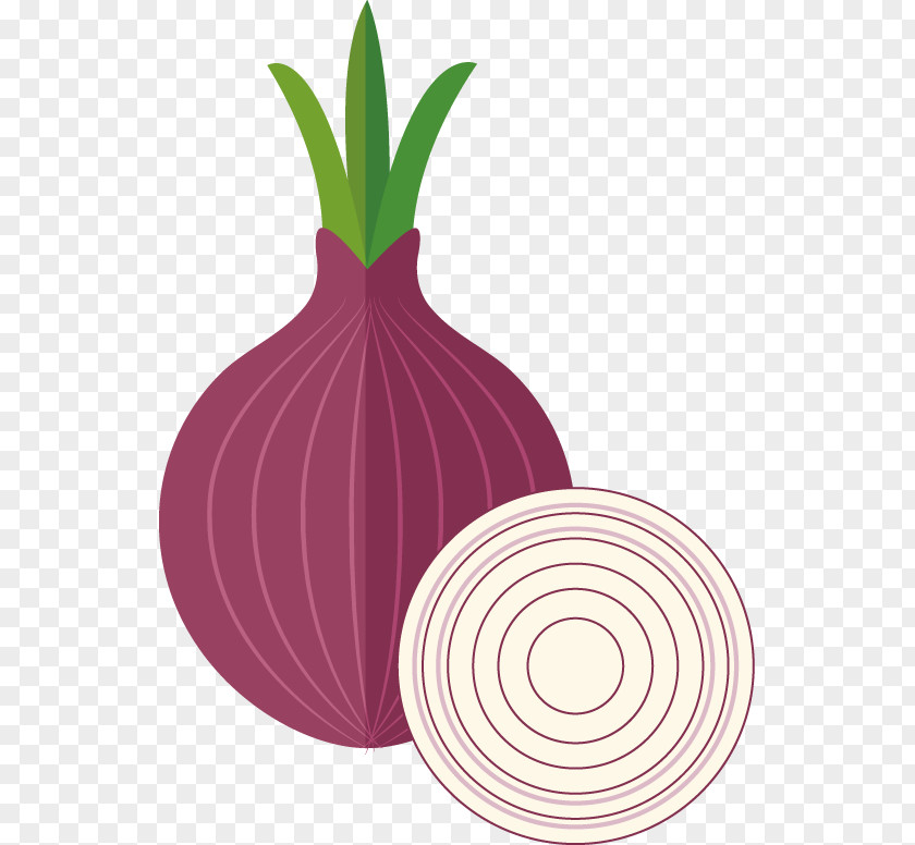 Vector PPT Creative Design Icon Onion Shallot PNG