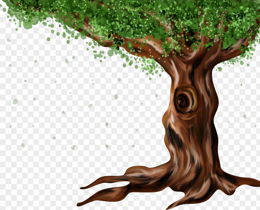 Cartoon Tree 1080p High-definition Television Desktop Wallpaper Video Display Resolution PNG