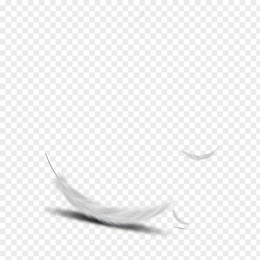 Falling Feathers Feather Bird PNG