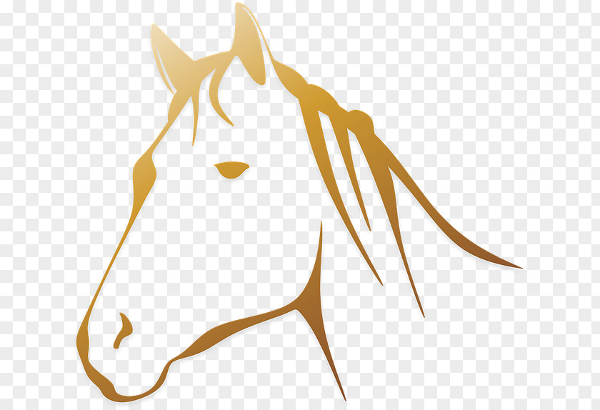 Horse Head Mask Clip Art PNG