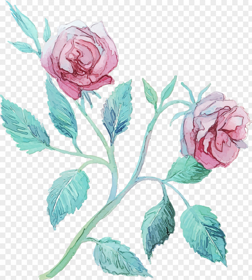 Blue Rose Flowering Plant Garden Roses PNG