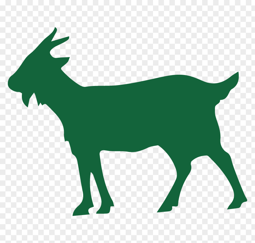 Goat Sheep Pathogen Evolution Mammal PNG