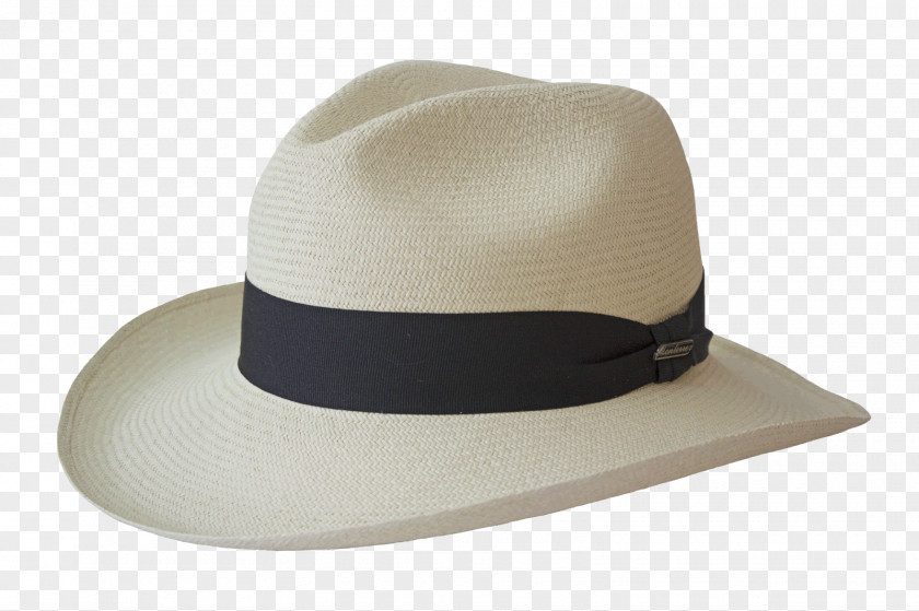 Hat Panama Fedora Cap Bonnet PNG