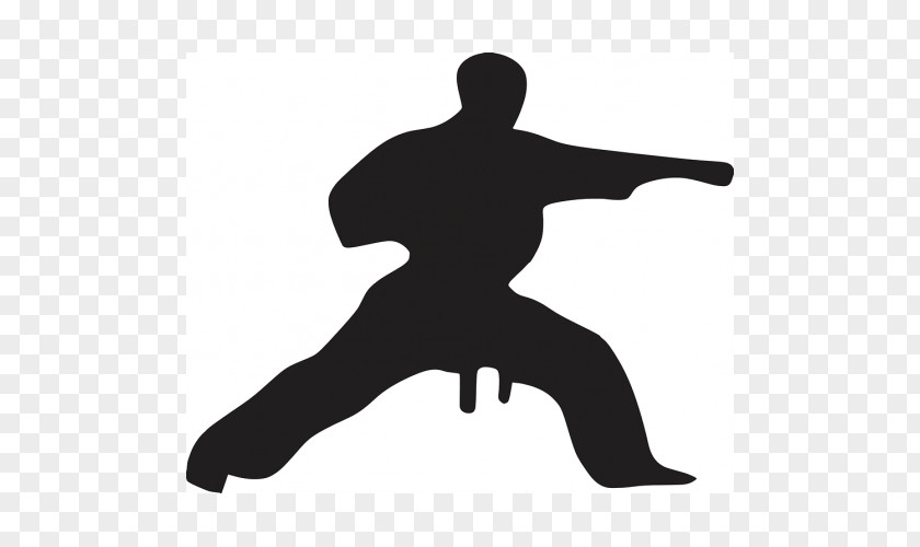 Karate Chinese Martial Arts Vector Graphics Clip Art PNG