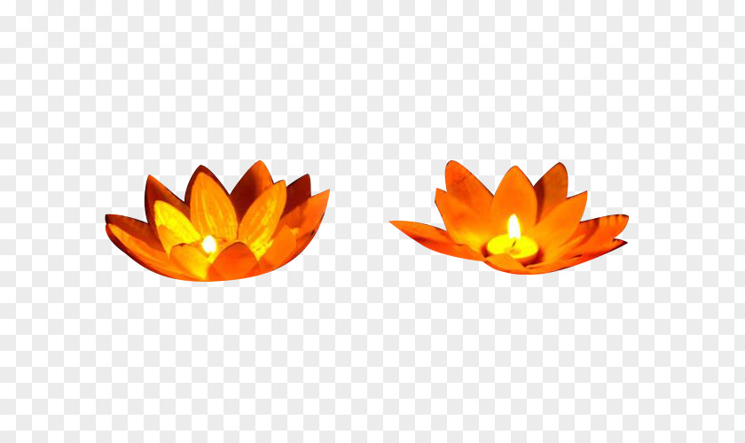 Lotus Lanterns Picture Material Download Lamp PNG