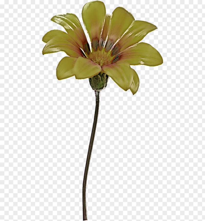 Plant Stem Artificial Flower PNG