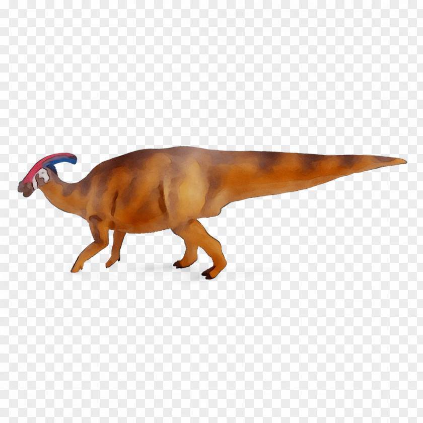 Tyrannosaurus Parasaurolophus Mrs. Pteranodon Styracosaurus Dinosaur PNG