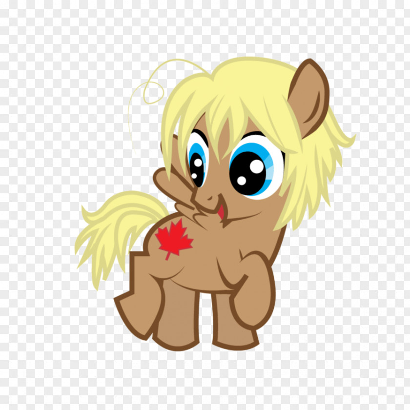 Lion Pony Canada Horse Rarity PNG