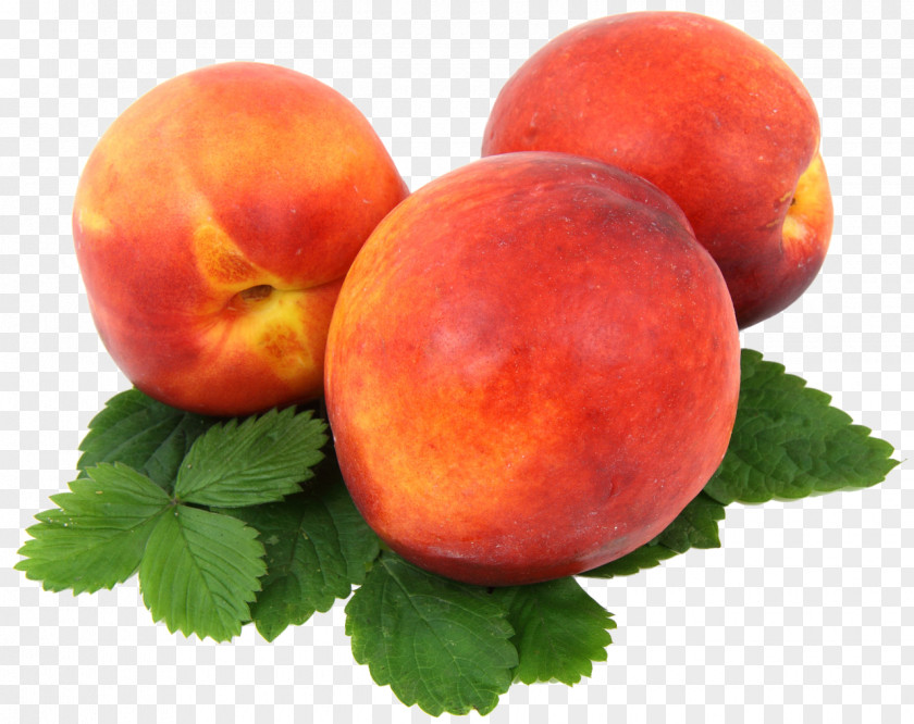 Peach Juice Smoothie Nectarine Fruit PNG