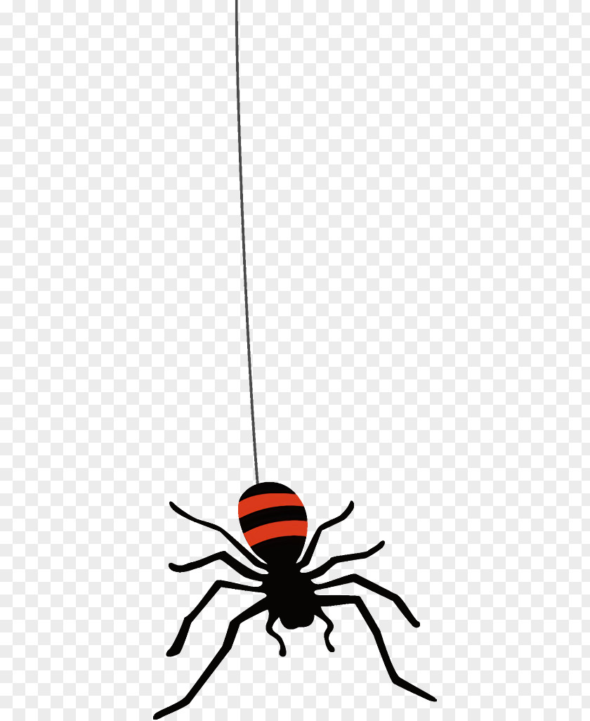 Pest Insect Spider Halloween PNG