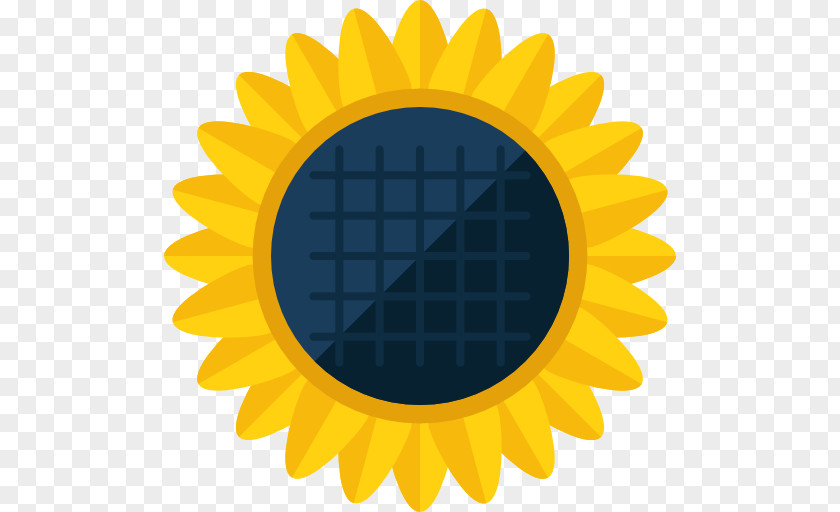 A Sunflower Common Seed Icon PNG