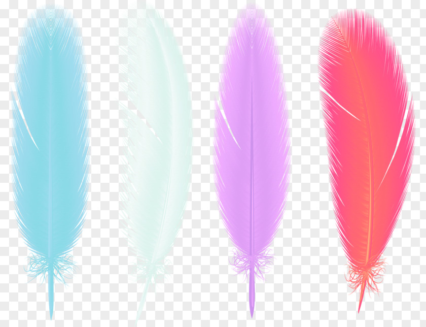 Color Hand-painted Simple And Beautiful Feathers Decorative Patterns Feather Drawing Clip Art PNG