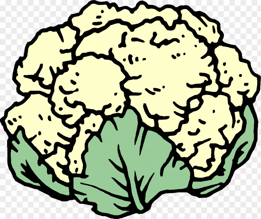 Cauliflower Broccoli Cabbage Clip Art PNG