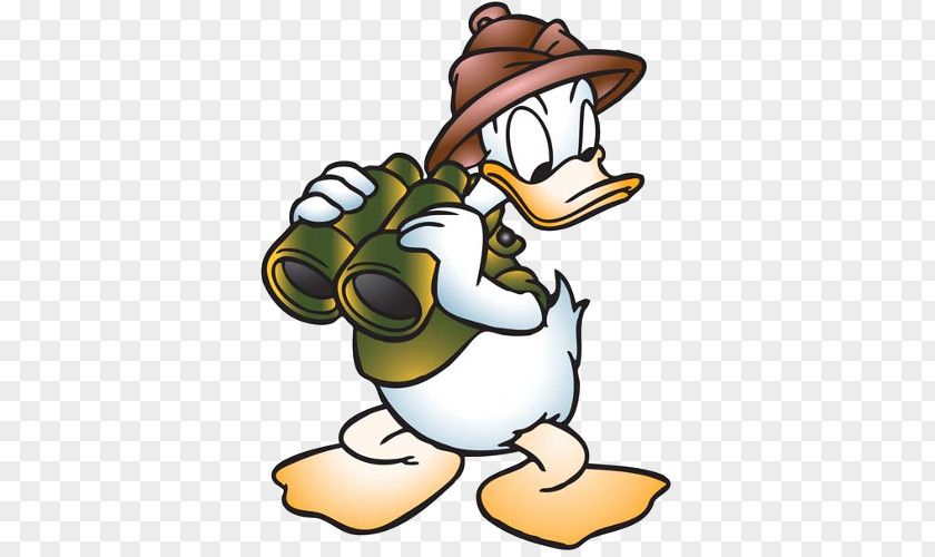 Donald Duck Mickey Mouse Daisy Minnie Walt Disney World PNG