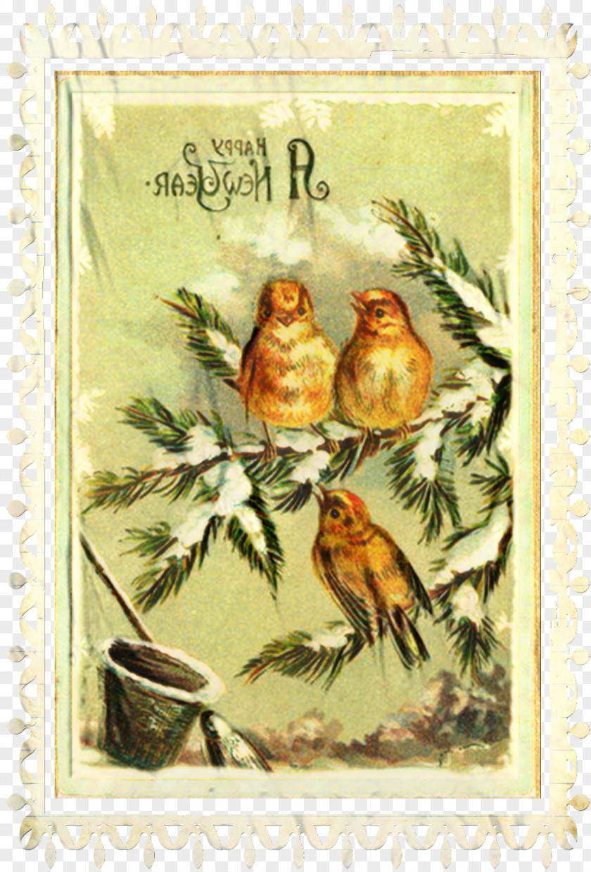 Finch Postage Stamp PNG