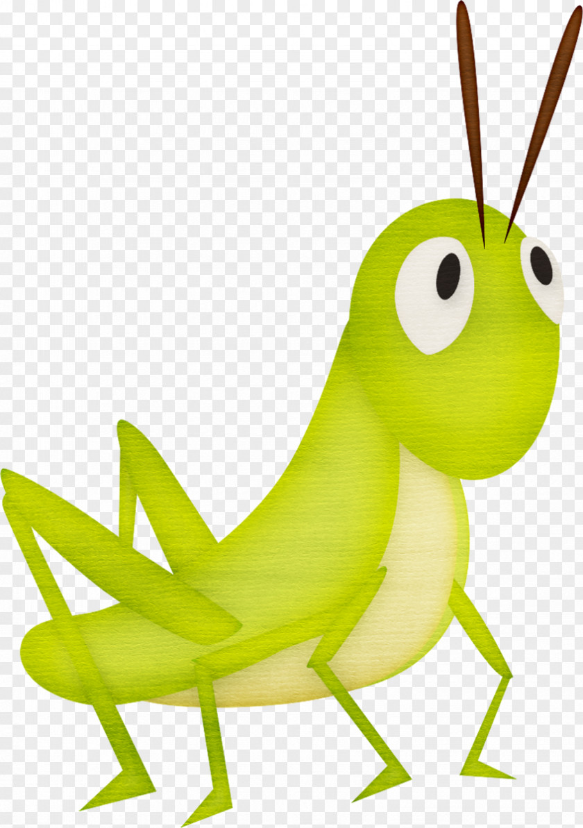 Hand-painted Grasshopper Cartoon Clip Art PNG