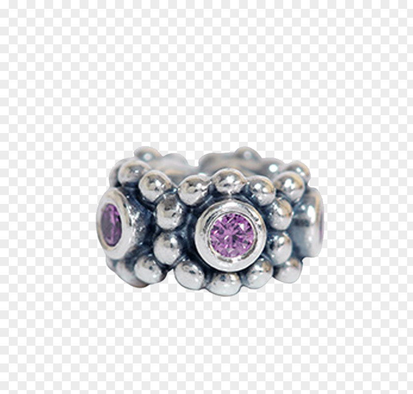 Her Royal Highness Purple Silver Pandora Beads Two Intervals Amethyst PNG