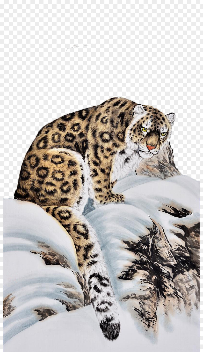 Like A Tiger Snow Leopard Cat Ocelot PNG