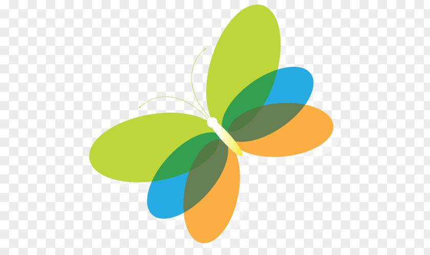 Cartoon Butterfly PNG