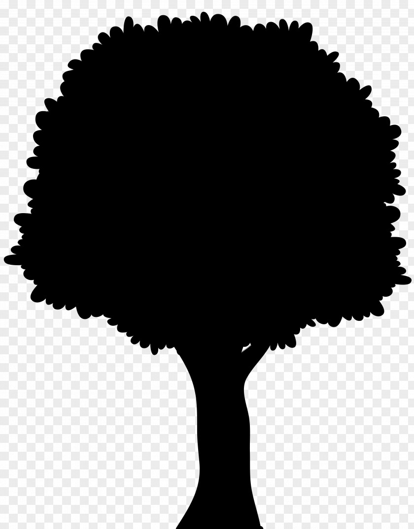 Clip Art Desktop Wallpaper Tree Image PNG