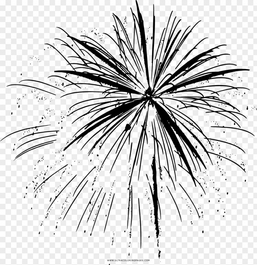 Fireworks Coloring Book Black And White Drawing PNG