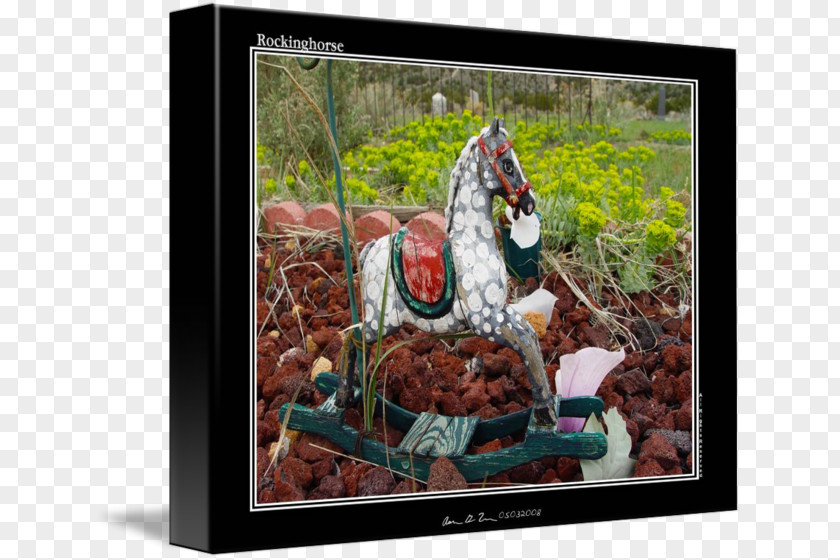 Horse Art Picture Frames Recreation Mammal PNG