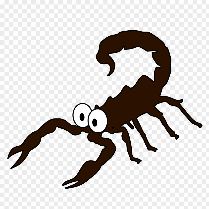 Insects Scorpion Insect Clip Art PNG
