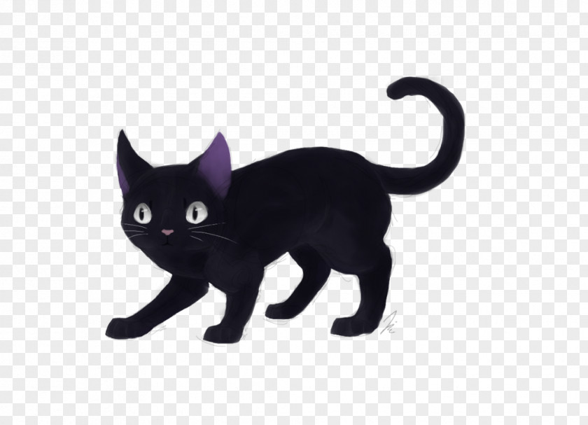 Kitten Black Cat Bombay Korat Domestic Short-haired PNG