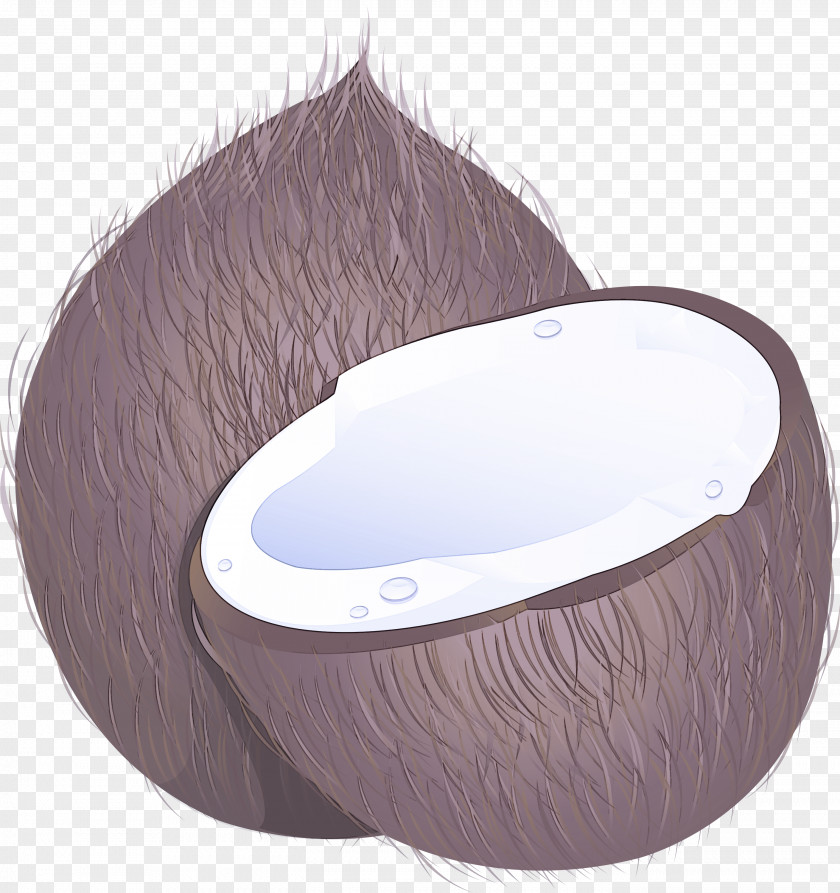 Plumbing Fixture Coconut PNG