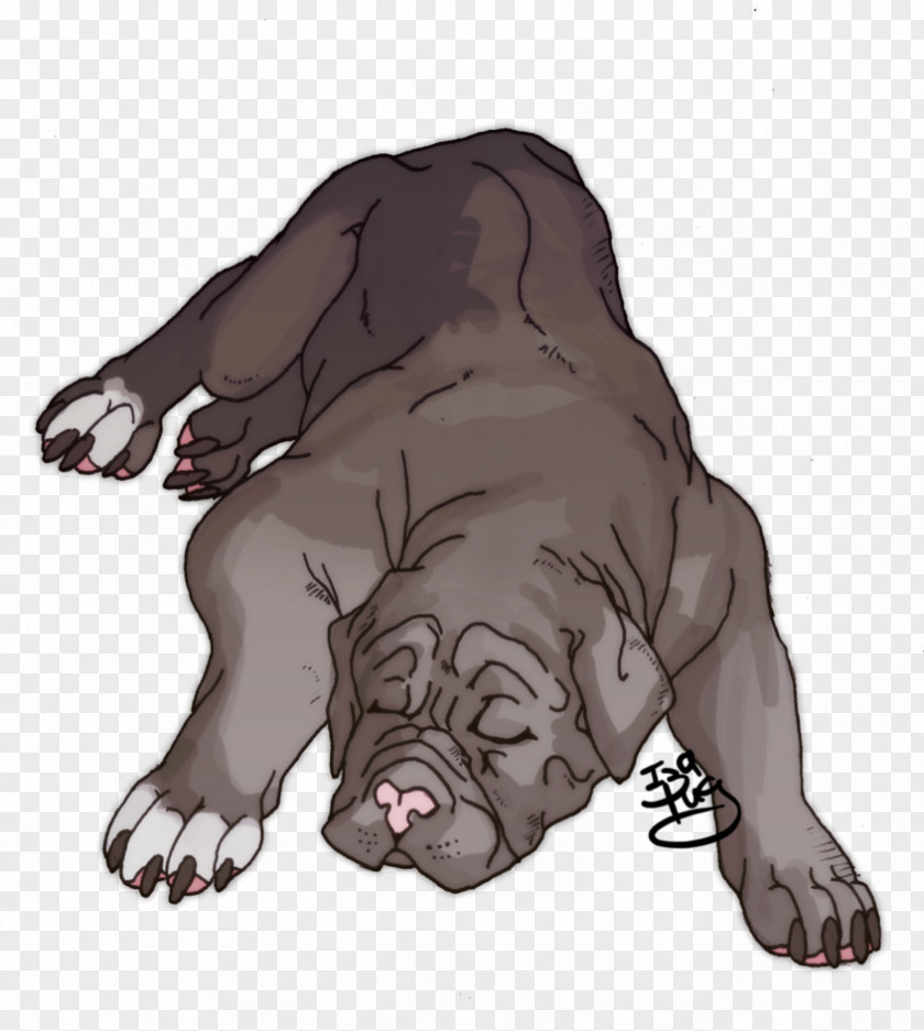 Puppy Dog Breed Pug Non-sporting Group Bear PNG