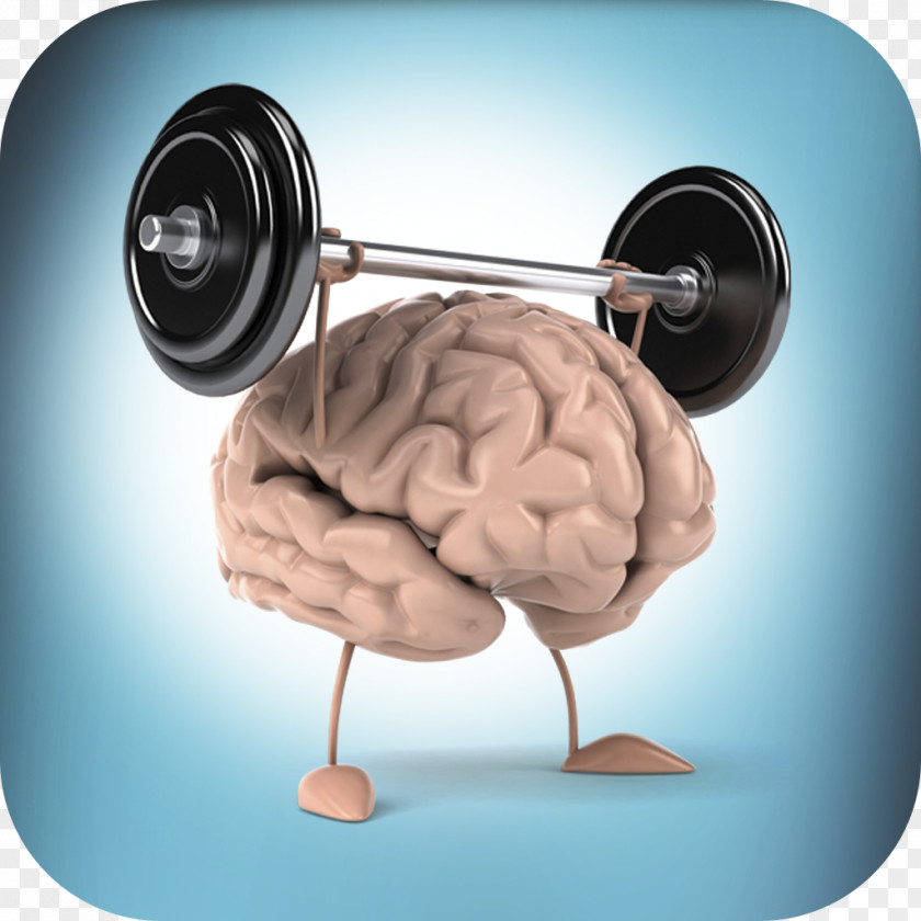 Brain Memory Mind Health PNG
