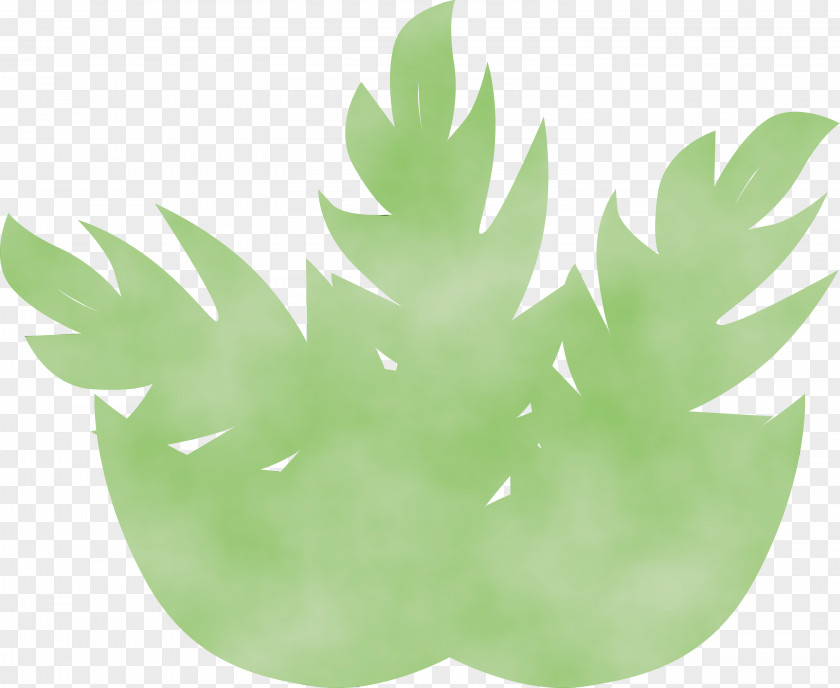 Leaf Green M-tree Tree Lawn PNG