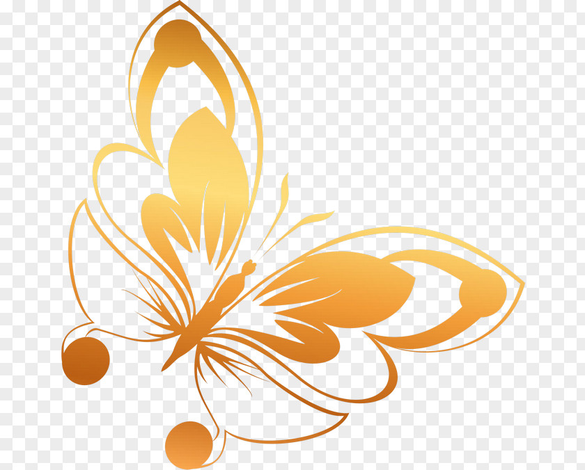 Leaf Petal Line Flowering Plant Clip Art PNG