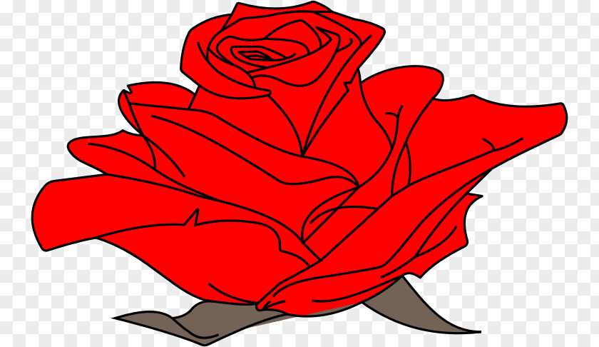 Line Colored Garden Roses Drawing Art Clip PNG