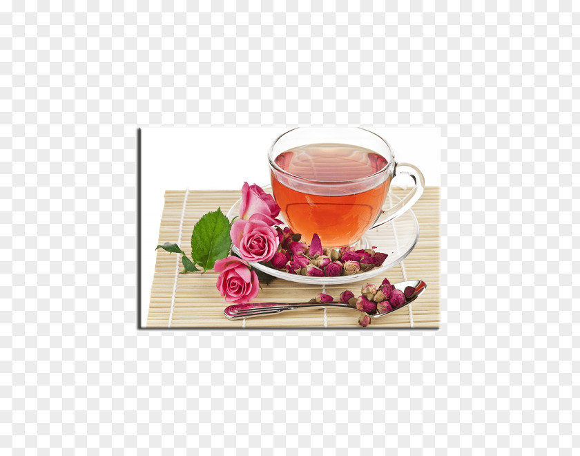Tea Flowering Beach Rose Drinking PNG