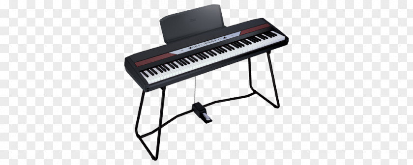 Digital Piano KORG SP-250 Musical Instruments Keyboard PNG