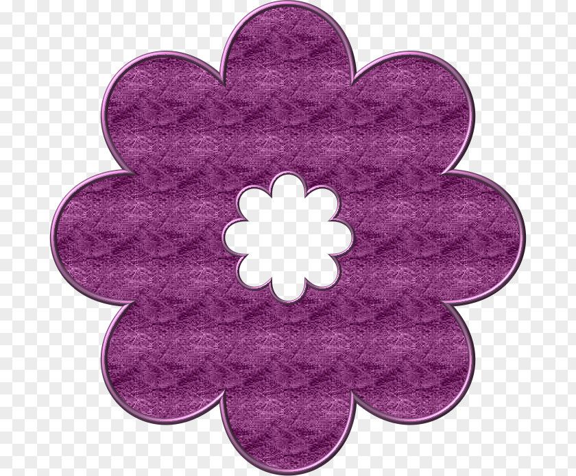 Flower Magenta Petal PNG