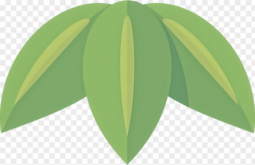 Flower Yellow Green Leaf Plant Tree PNG