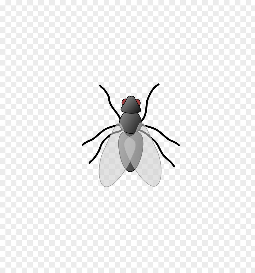 Free House Clipart Content Insect Clip Art PNG