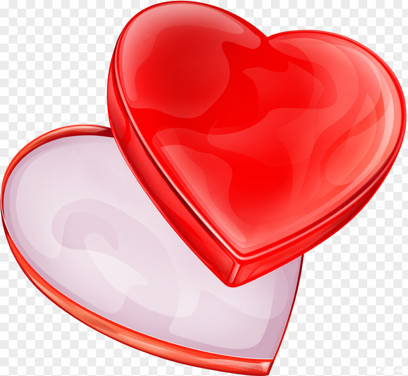 Heart Love Bible Clip Art PNG