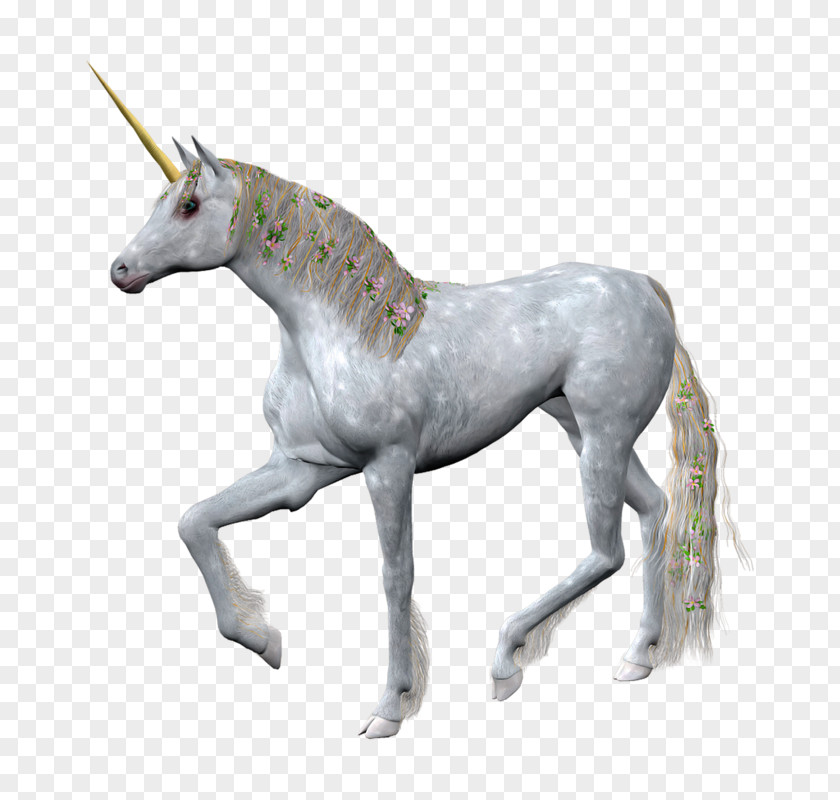 Horned Horse Unicorn Horn Sculpture Poster PNG