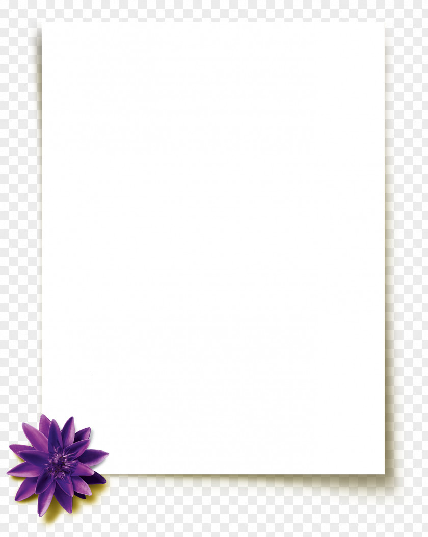 Line Picture Frames PNG