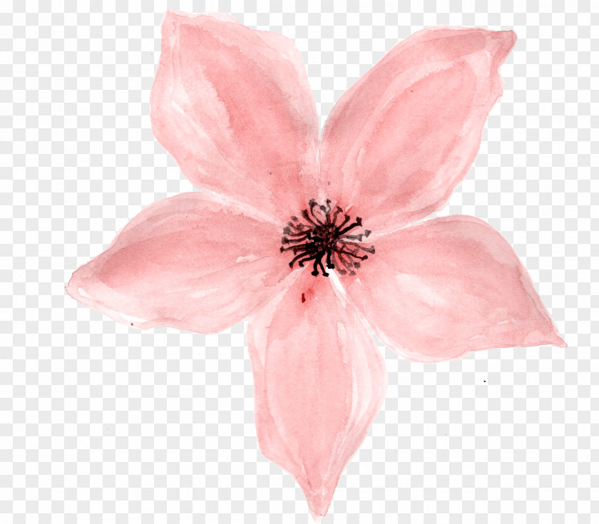 Pink Flowers In Bloom PNG flowers in bloom clipart PNG