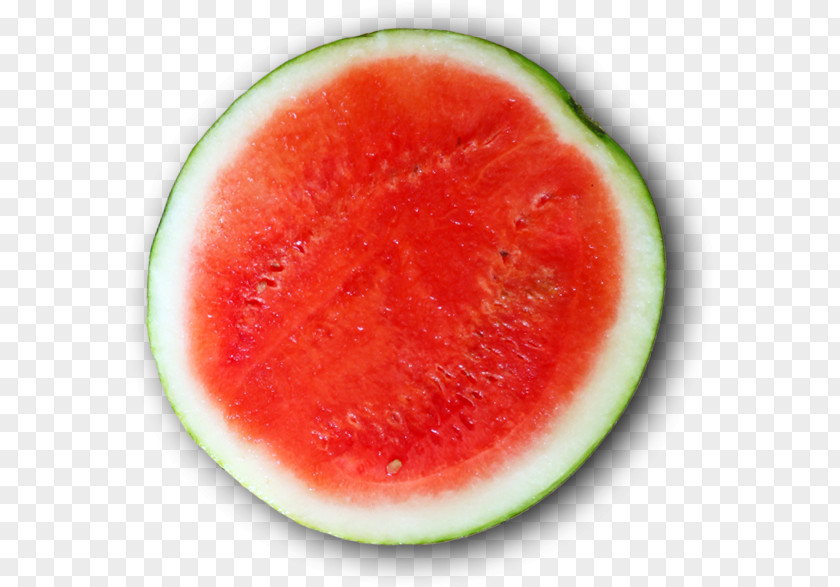 Watermelon Business Empresa Internet Profit PNG
