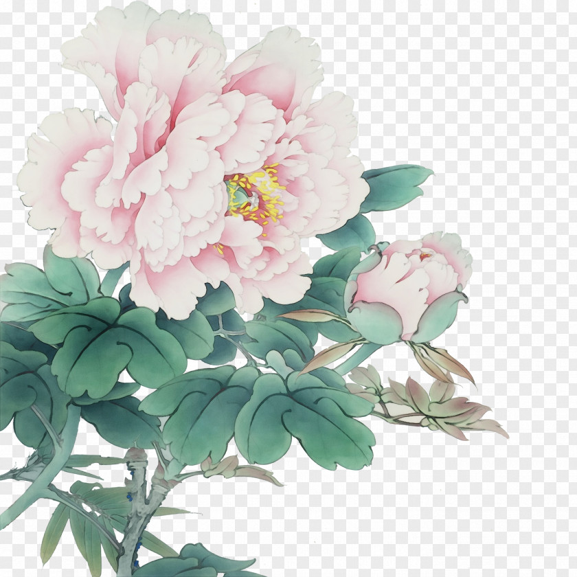 Wild Peony Saxifragales Gongbi Chinese Painting Ink Wash PNG