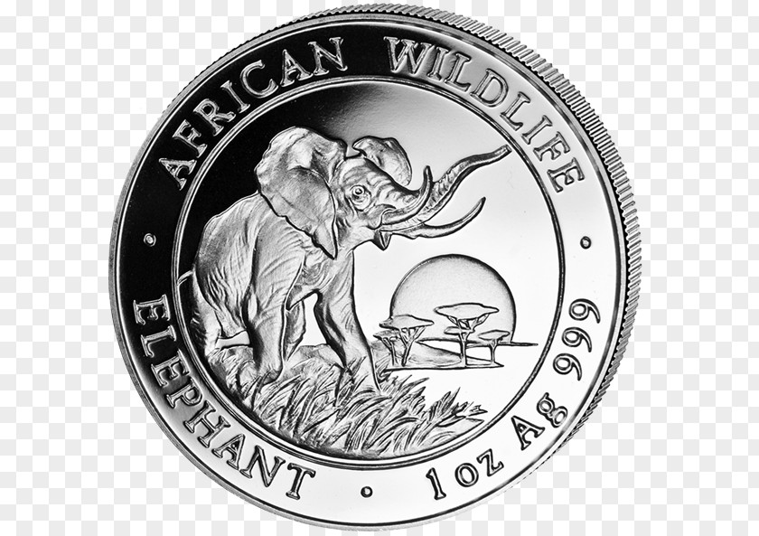 Coin Somalia African Elephant Silver Elephantidae PNG