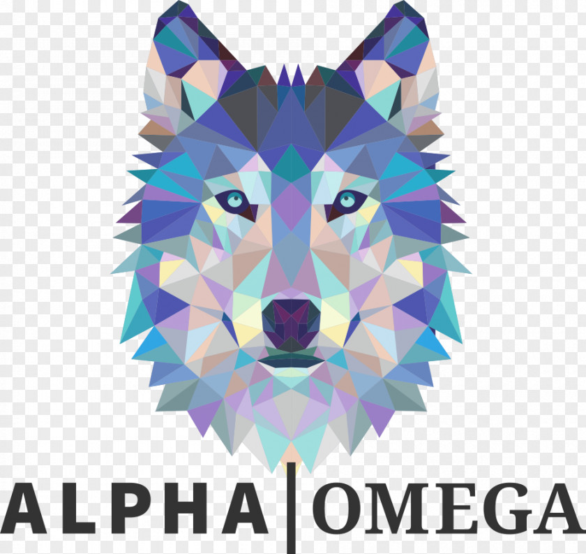 Design Gray Wolf Geometry Illustration T-shirt PNG